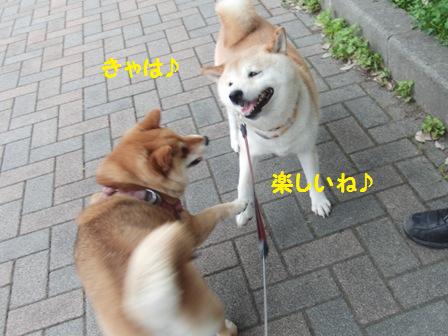 楽しいね