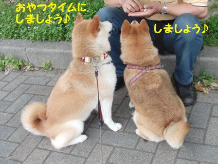 おやつ