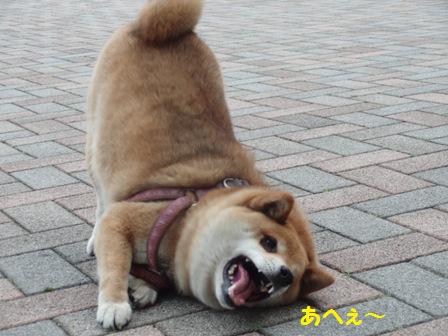 あへ