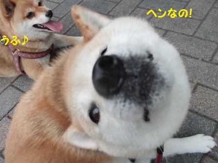 変なの