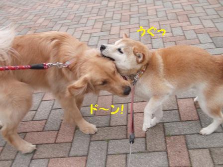 ど~ん