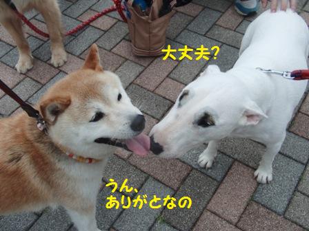 大丈夫?