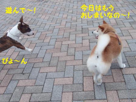 おやすみ