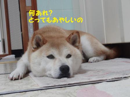 あやしい