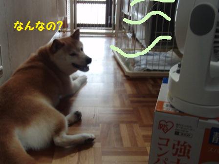なんなの