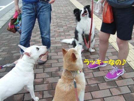 ラッキー