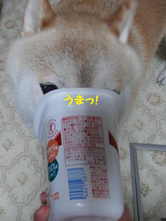 うまっ