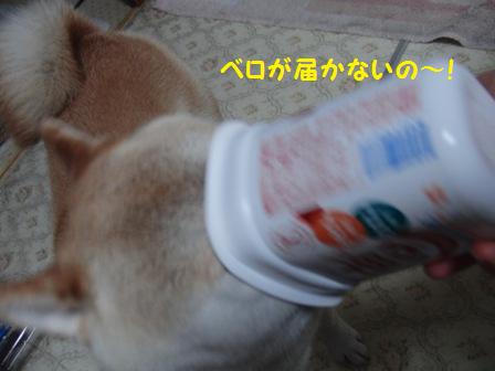 とどかない