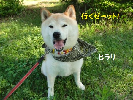 ゼーット