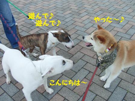 大&虎