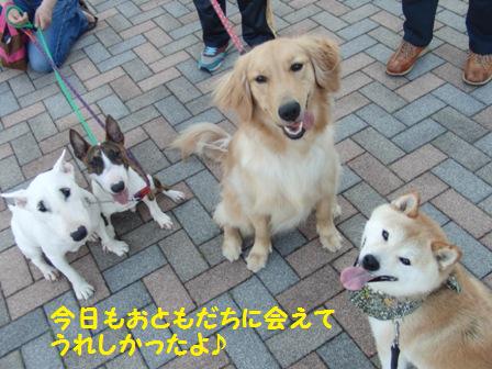 うれしかったよ