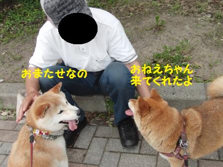 おまたせ