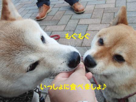 もぐもぐ