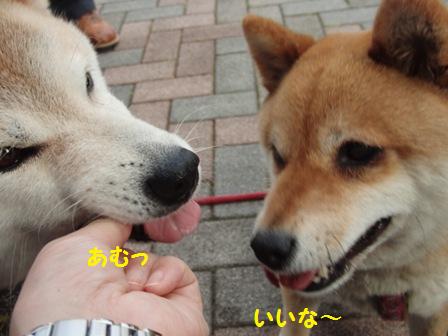 あむっ