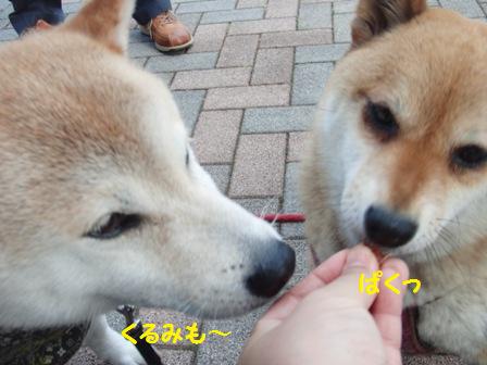 ぱくっ