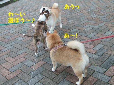 遊ぼう