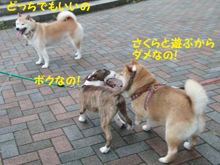 ダメ