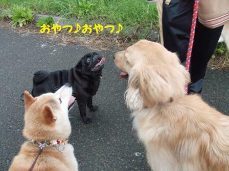 おやつ