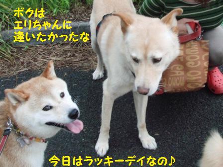 ラッキーデイ
