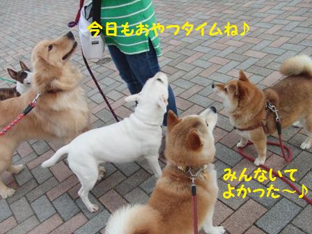 おやつタイム