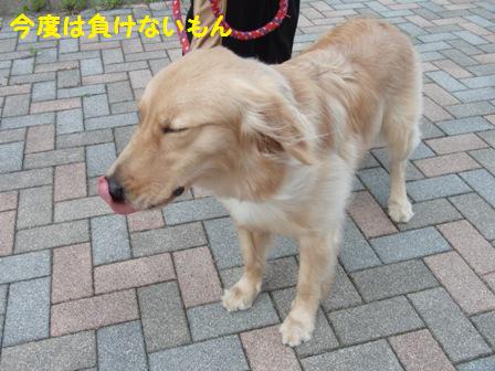今度は負けない