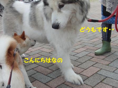 なっちゃん