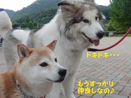 仲良し