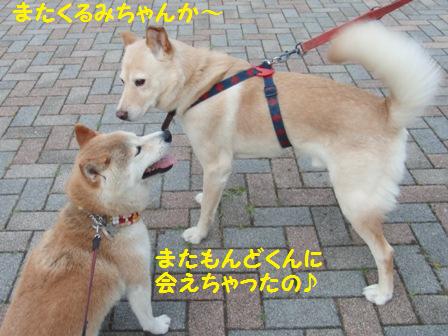 もんどくん