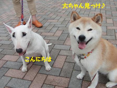 大ちゃん