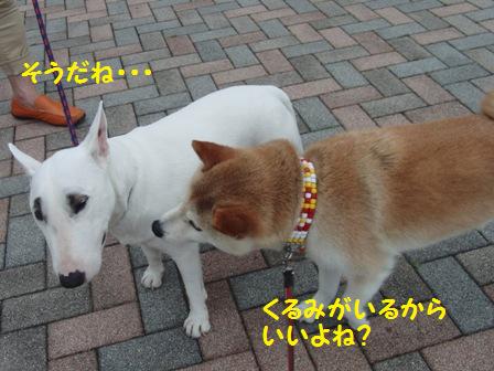 いいよね