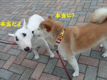 本当