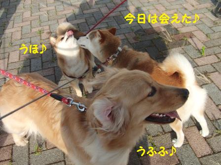 会えた