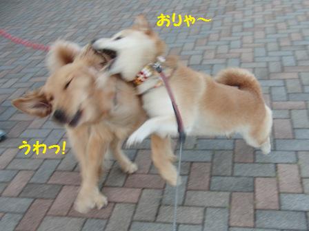 おりゃ~