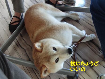まくら