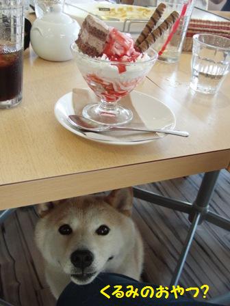 おやつ