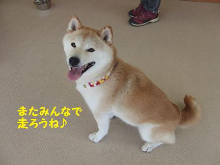 また走ろうね