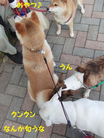 匂う