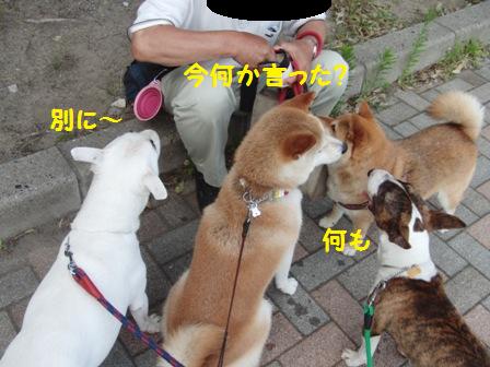 何か?