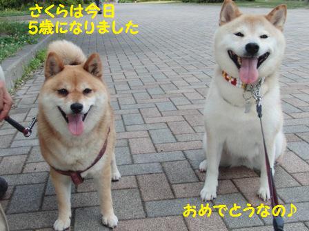 お誕生日おめでとう