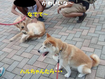 なでて