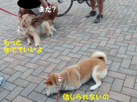 もっといいよ
