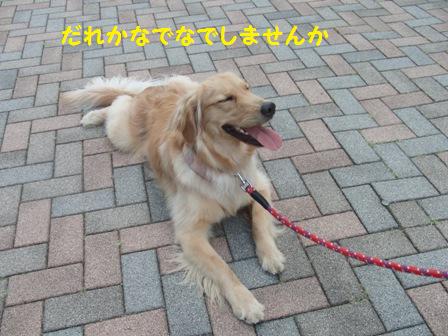なでなで