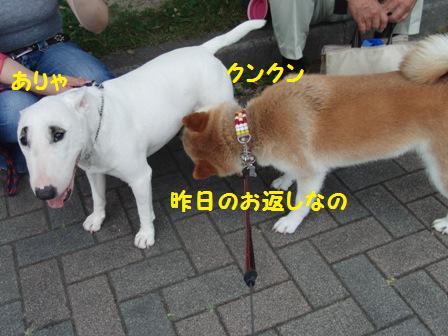 クンクン