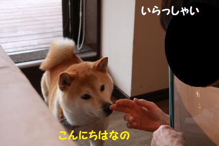 こんにちは