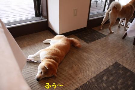 ふぅ