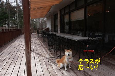 テラス
