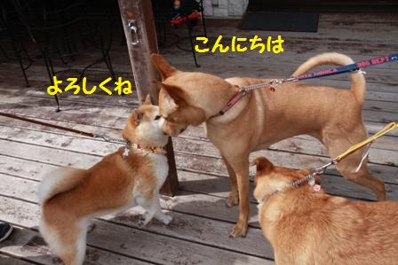 よろしくね