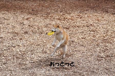 おっとっと