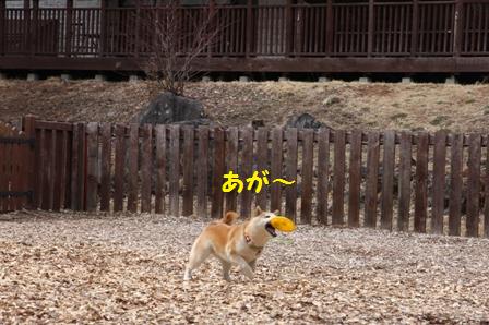 あが~