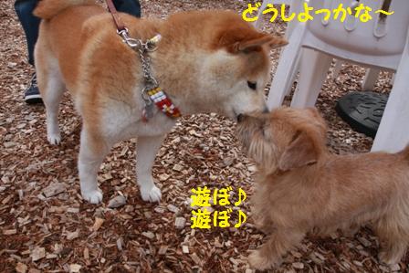 どうしよっかな